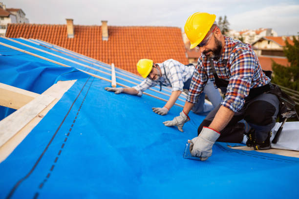 Best Chimney Flashing Repair  in Meridian, PA