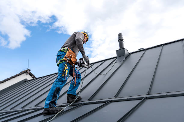 Best Sheet Metal Roofing  in Meridian, PA